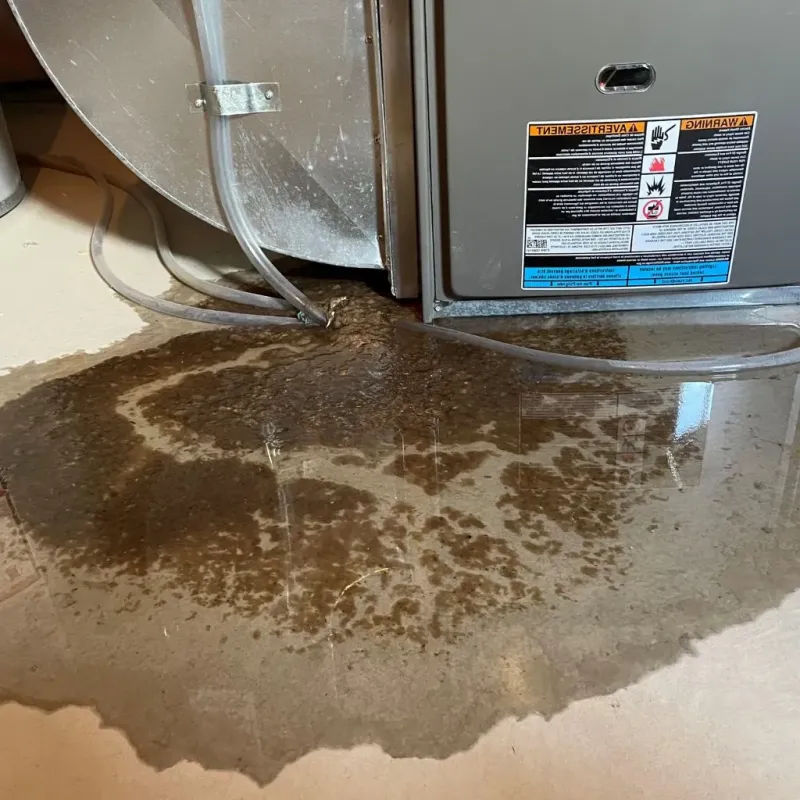 Pipe Burst and Leak Restoration in Owasso, OK